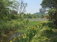 -山水间小院
