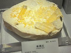 -湖南省地质博物馆