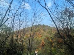 -桃花岭景区