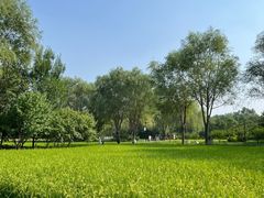 -北坞公园