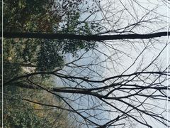 -凤栖山