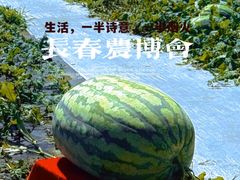 -长春农业博览园