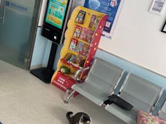 -爱诺动物医院(崂山店)