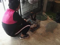 -MOJO密室逃脱(中街旗舰店)