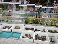 -本溪路花鸟市场(江浦路1709弄小区店)