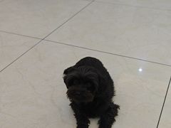 -姐妹农家菜(碧水华庭店)