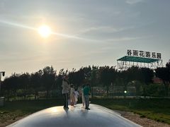 -曹州牡丹园