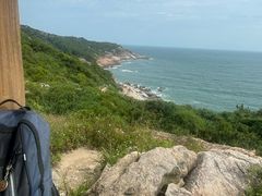 -广东惠东海龟国家级自然保护区