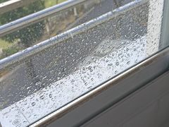 -福瑞记老孙头biangbiang面(新生路店)