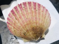 -火锅岛潮牌自助餐厅(天津天佑城店)