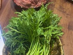 -楠火锅(葫芦岛飞天广场店)