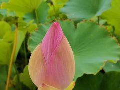 -南戴河国际娱乐中心