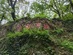 -句容茅山景区