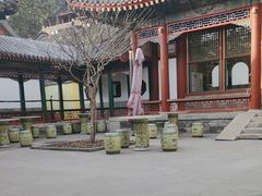 -宫事颐庭·老佛爷贵寿下午茶(颐和园店)