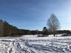 -北极村旅游风景区
