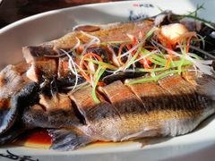 清蒸虹鳟鱼-卧龙堡客栈·中餐厅(古北水镇店)