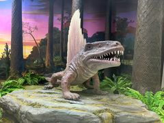 -国家自然博物馆