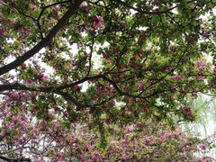 -元大都城垣遗址公园