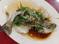 -隆都四季香饭店(碧海路店)