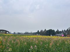 -中国天府农业博览园