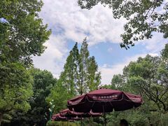 -上海野生动物园