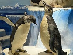 -国家自然博物馆