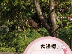 -南山植物园