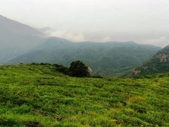 -妙峰山风景名胜区