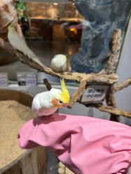 -Zoolung Zoolung动物主题公园(海信广场店)