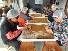 -苏州市吴中区光福窑上花果蜜饯厂