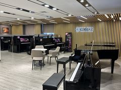 -雅马哈乐器专卖店(广州旗舰店)