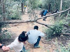 -青龙山国家森林公园