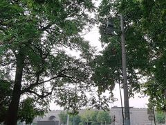 -西安唐皇城墙含光门遗址博物馆