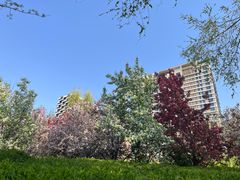 -长白岛森林公园