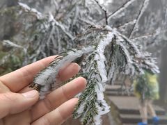 -南岳衡山风景名胜区