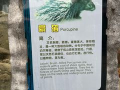 -广州长隆飞鸟乐园