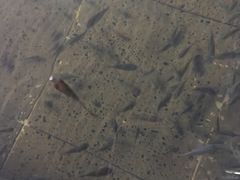 -溧阳天目湖天沐温泉