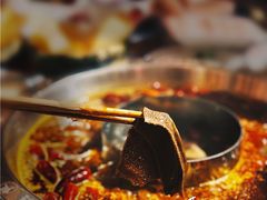 绿色脆毛肚-贤合庄卤味火锅(济南泉城路店)