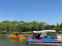 -朝阳公园游乐园