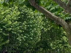 -上海交通大学医学院附属同仁医院-地下停车库
