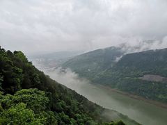 -铁山坪森林公园