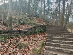 -黔灵山公园