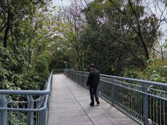-佛山华盖山公园