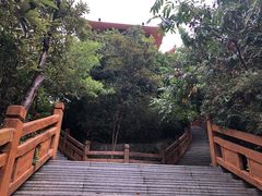 -大屏嶂森林公园