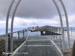 -三亚亚龙湾人间天堂鸟巢度假村