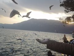 -滇池海埂公园
