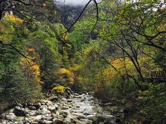 -青峰峡国家森林公园