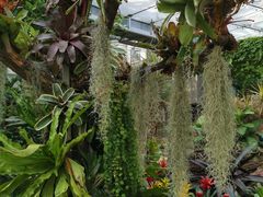 -北京植物园-展览温室