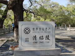 -北陵公园