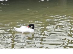 -上海野生动物园